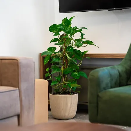 Cosy Duplex Near Bus Station Apartment Budva